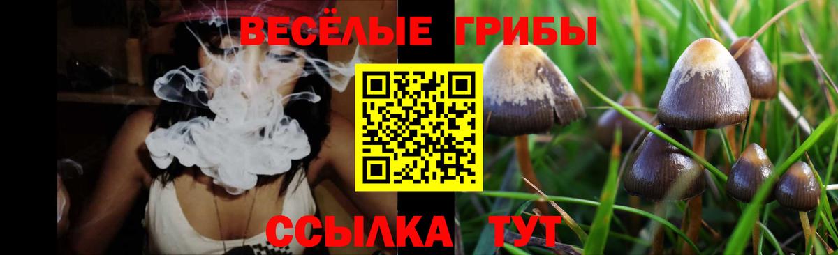 Псилоцибиновые грибы Magic Shrooms Жигулёвск